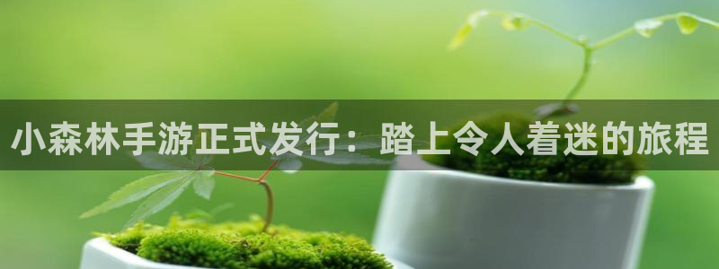 天辰平台注册地址在哪里