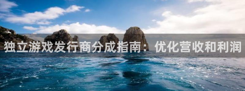 天辰平台用户注册怎么注销：独立游戏发行商分成指南：优化营收和利润