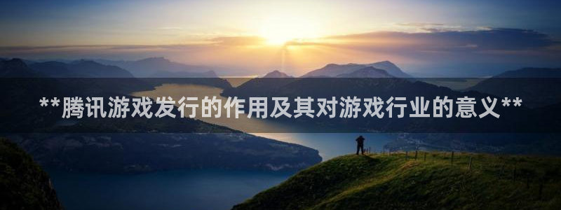 天辰测绘有限公司怎么样：**腾讯游戏发行的作用及其对游戏行业的意义**