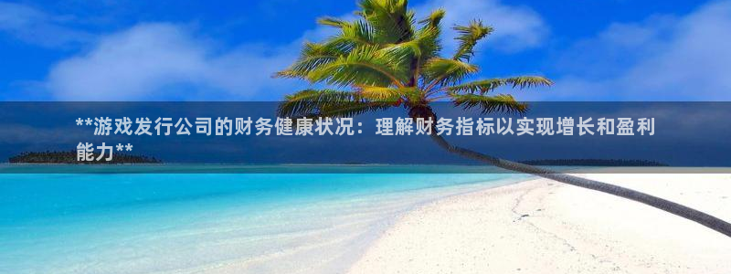 天辰信息：**游戏发行公司的财务健康状况：理解财务指标以实现增长和盈利
能力**