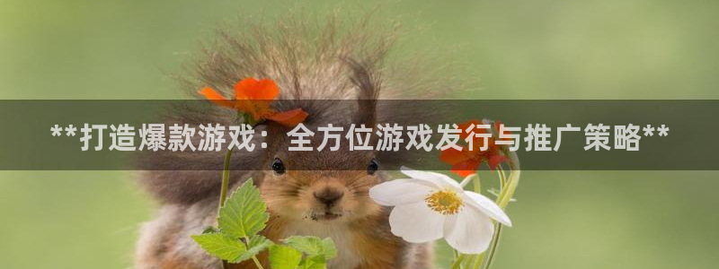 天辰平台 你的专属平台