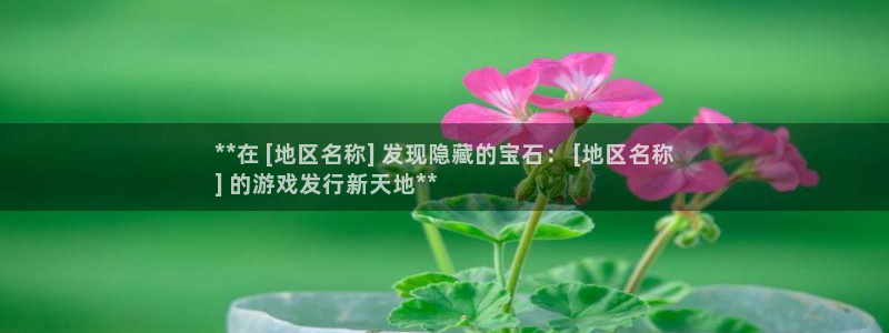 天晨测绘有限公司：**在 [地区名称] 发现隐藏的宝石： [地区名称
] 的游戏发行新天地**