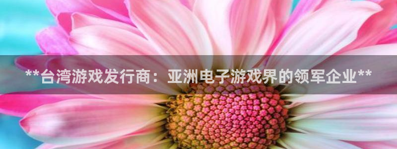 天辰平台易 411o31 天辰：**台湾游戏发行商：亚洲电子游戏界的领军企业**