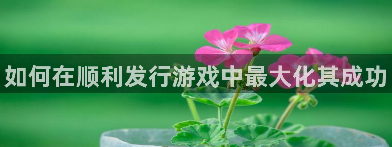 天辰信息网登录：如何在顺利发行游戏中最大化其成功