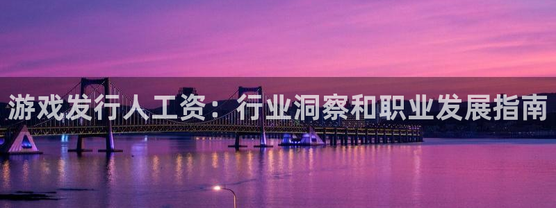 天辰平台 -专用通道安全稳定：游戏发行人工资：行业洞察和职业发展指南