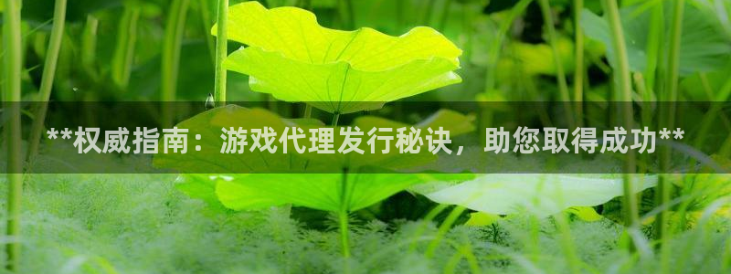 天辰平台弄 585341：**权威指南：游戏代理发行秘诀，助您取得成功**