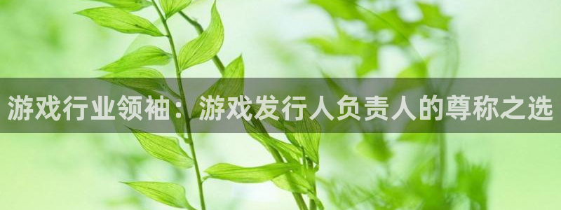 天辰用户注册：游戏行业领袖：游戏发行人负责人的尊称之选