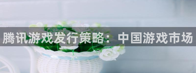 天辰商盟创业平台：腾讯游戏发行策略：中国游戏市场