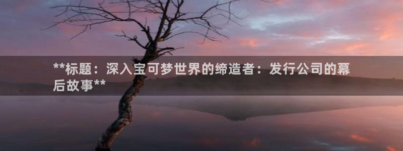 天辰平台用户登录不上怎么办：**标题：深入宝可梦世界的缔造者：发行公司的幕
后故事**