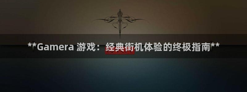 天辰平台用户登录不上：**Gamera 游戏：经典街机体验的终极指南**