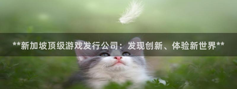 天辰会员开户：**新加坡顶级游戏发行公司：发现创新、体验新世界**