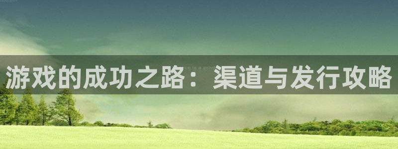 天辰平台西 5o69I7：游戏的成功之路：渠道与发行攻略