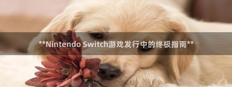 天辰注册平台：**Nintendo Switch游戏发行中的终极指南**