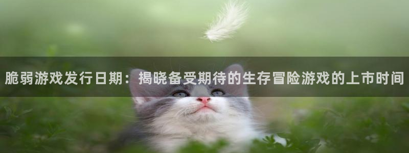天辰平台注册登录地址在哪里看