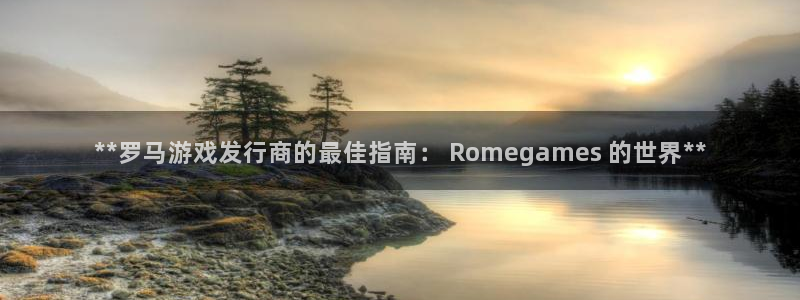 天辰游戏平台怎么样：**罗马游戏发行商的最佳指南： Romegames 的世界**
