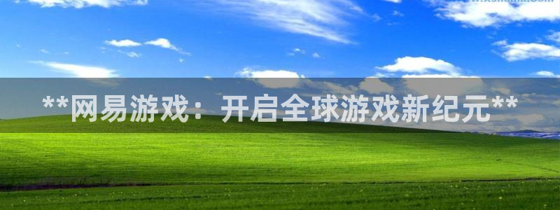 天辰平台怎么样退款：**网易游戏：开启全球游戏新纪元**