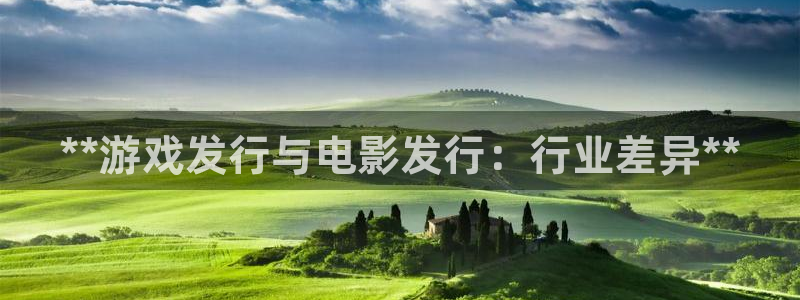 天辰娱乐官网最新公告：**游戏发行与电影发行：行业差异**