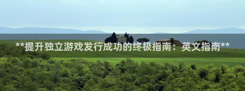 天辰平台登录地址在哪里看：**提升独立游戏发行成功的终极指南：英文指南**