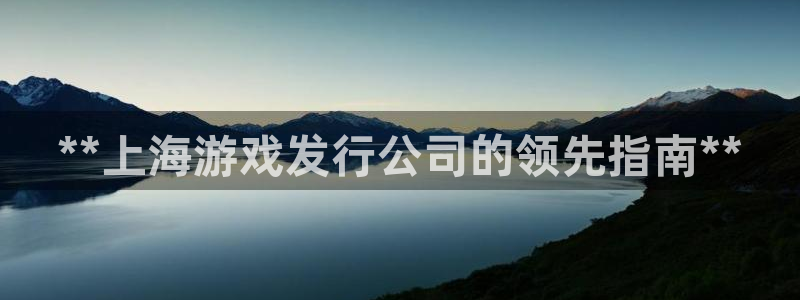天辰平台注册登录地址怎么改不了：**上海游戏发行公司的领先指南**