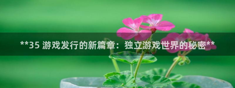 天辰会员开户：**35 游戏发行的新篇章：独立游戏世界的秘密**