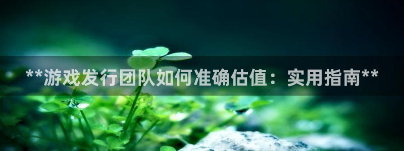 天辰平台 注册你的专属平台入口在哪：**游戏发行团队如何准确估值：实用指南**