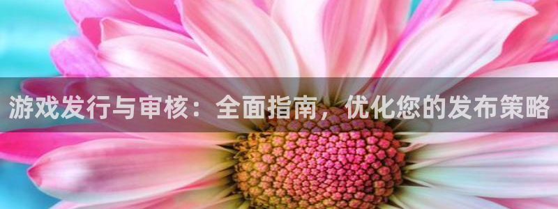 天辰测绘有限公司：游戏发行与审核：全面指南，优化您的发布策略