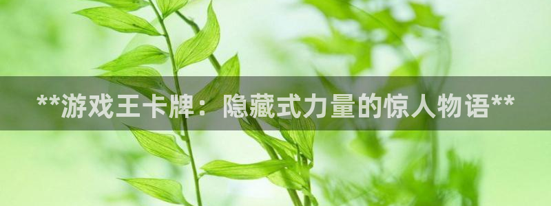天辰平台招商111：**游戏王卡牌：隐藏式力量的惊人物语**