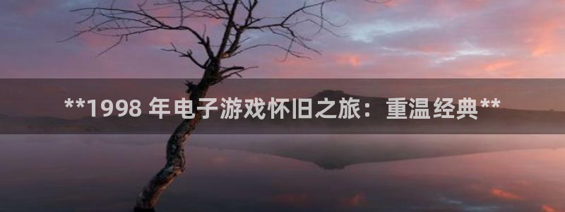 天辰注册叵3300：**1998 年电子游戏怀旧之旅：重温经典**