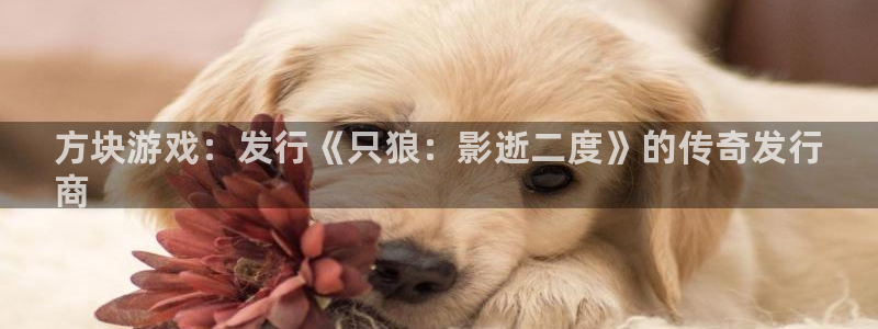 天辰娱乐官网最新公告消息：方块游戏：发行《只狼：影逝二度》的传奇发行
商