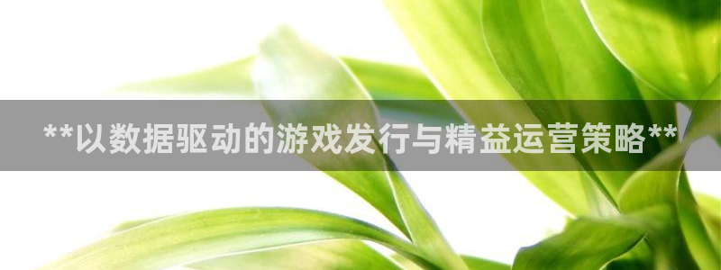 天辰娱乐厅破解规律：**以数据驱动的游戏发行与精益运营策略**