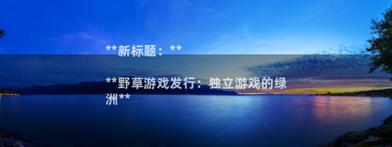 天辰平台用户登录不了：**新标题：**

**野草游戏发行：独立游戏的绿
洲**