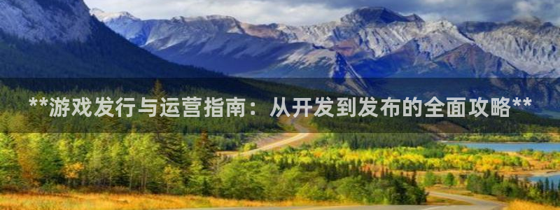 天辰平台 -你的专属平台：**游戏发行与运营指南：从开发到发布的全面攻略**