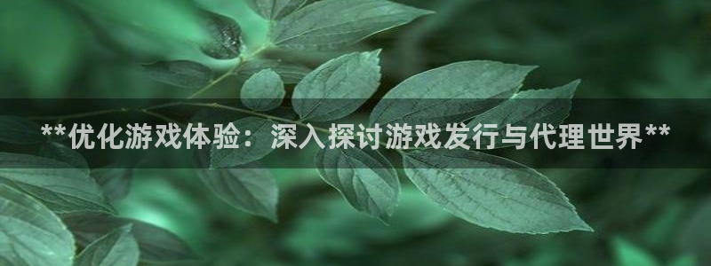 天辰平台登录注册不了：**优化游戏体验：深入探讨游戏发行与代理世界**