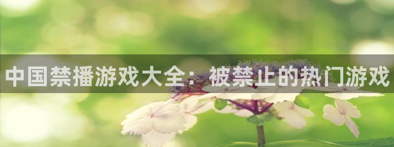 天辰平台易 411o31 天辰：中国禁播游戏大全：被禁止的热门游戏