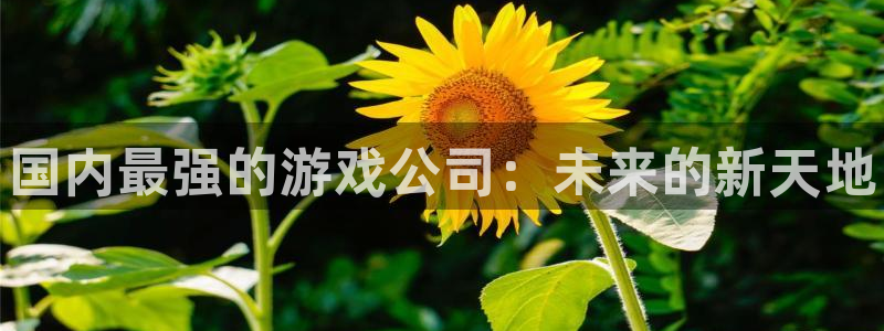 天辰平台 注册你的专属平台入口是什么：国内最强的游戏公司：未来的新天地