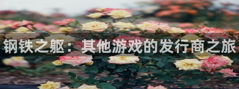 天辰建设网项目会员收费标准：钢铁之躯：其他游戏的发行商之旅