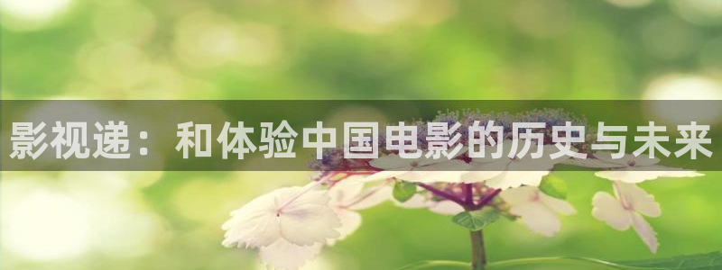 麻花视频下载：影视递：和体验中国电影的历史与未来