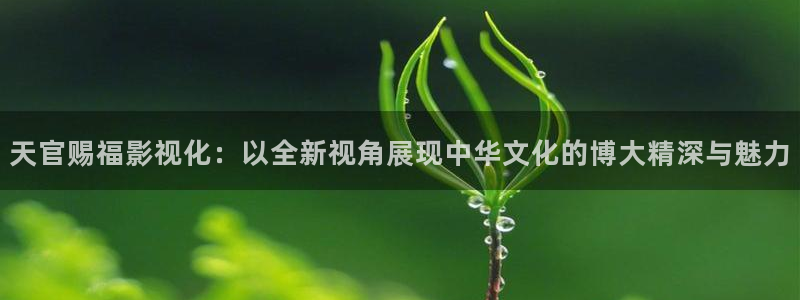 麻花视频app特色：天官赐福影视化：以全新视角展现中华文化的博大精深与魅力