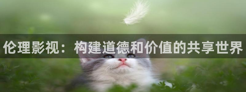 麻花视频在线播放免费观看：伦理影视：构建道德和价值的共享世界