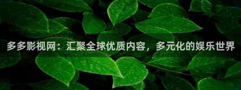 麻花影视大全高清免费追剧：多多影视网：汇聚全球优质内容，多元化的娱乐世界
