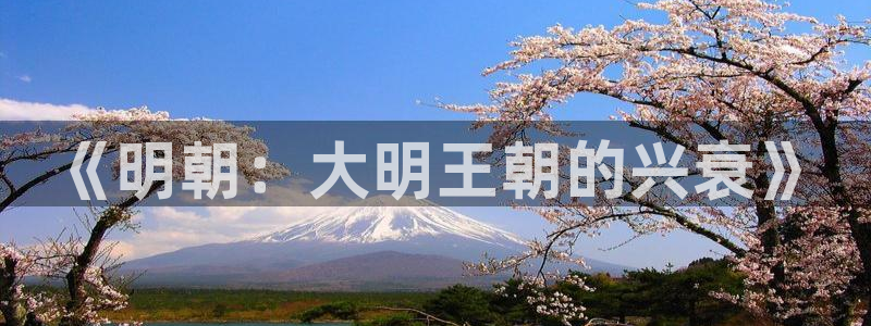 麻花影院：《明朝：大明王朝的兴衰》